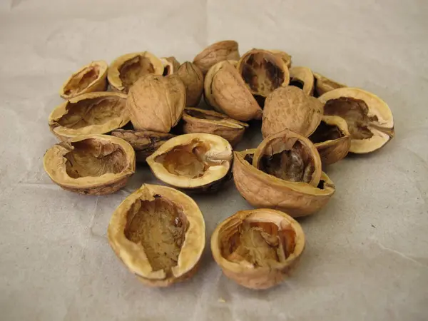 stock image Nut shells for craft, halved walnut shells on paper