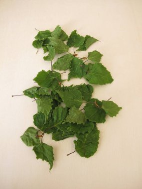 Kurumuş huş yaprakları kemirgenlere ve diğer hayvanlara ek yem olarak kullanılır.