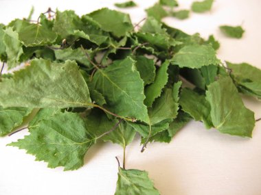 Kurumuş huş yaprakları kemirgenlere ve diğer hayvanlara ek yem olarak kullanılır.