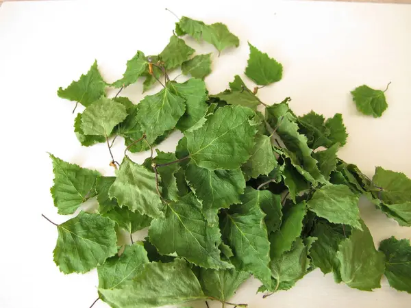 Kurumuş huş yaprakları kemirgenlere ve diğer hayvanlara ek yem olarak kullanılır.