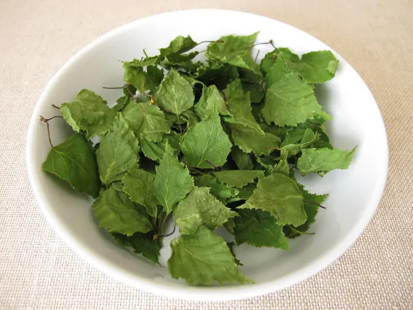 Porselen bir kasede kurumuş huş yaprağı ve bitki çayı.