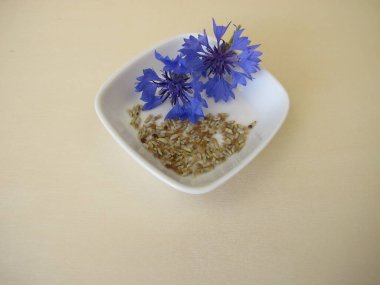 Mavi çiçeğin çiçek tohumları, Centaurea siyanus