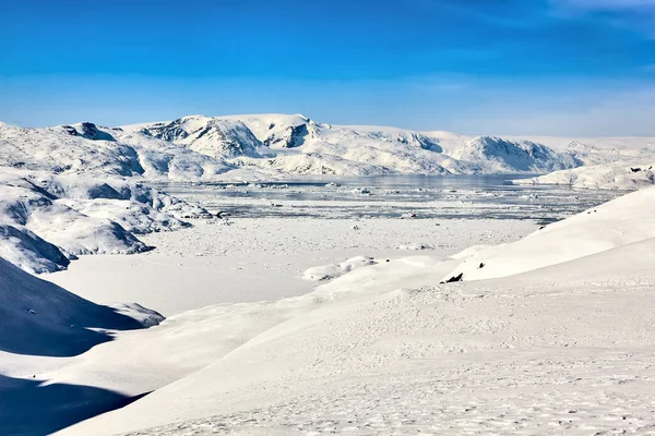 Arktyczny Krajobraz Fiordem Górami Lodowymi Wschodnia Grenlandia — Zdjęcie stockowe
