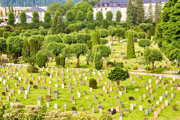 Friedhof Von Mollendal Bergen Norwegen Stockbild