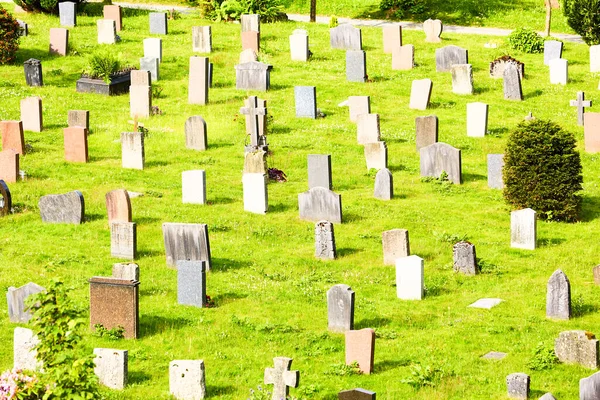 Friedhof Von Mollendal Bergen Norwegen lizenzfreie Stockfotos