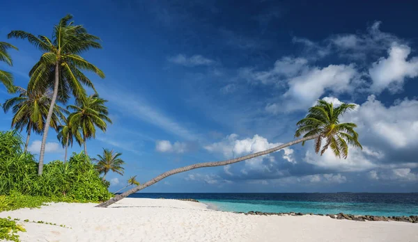 美丽的热带海滩 有棕榈树和闷热的天空 令人惊奇的海滩景致假期和暑假的概念 马尔代夫天堂海滩 豪华旅行暑假背景概念 图库照片