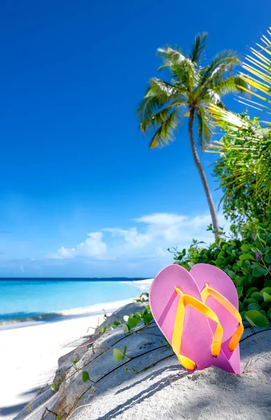 Prachtig Tropisch Strand Met Palmbomen Roze Teenslippers Geweldige Strand Scene Stockafbeelding