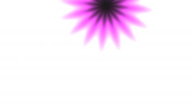 Dinamik Arkaplanlar için Canlı Modern Neon Yıldız Patlaması Animasyonu