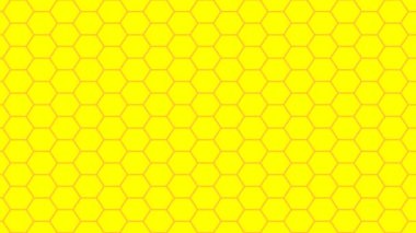 İnce Hareket Bal Tarağı Kovanı