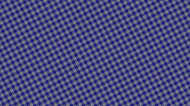 Dinamik Mavi Gingham Kalıplarını İnce Hareketli Kontrol Et