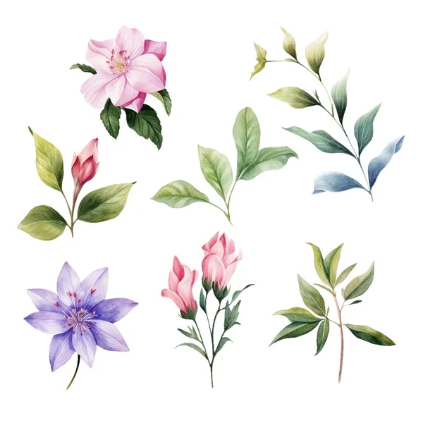 Set Von Schönen Aquarellgrünen Blättern Und Blüten — Stockvektor