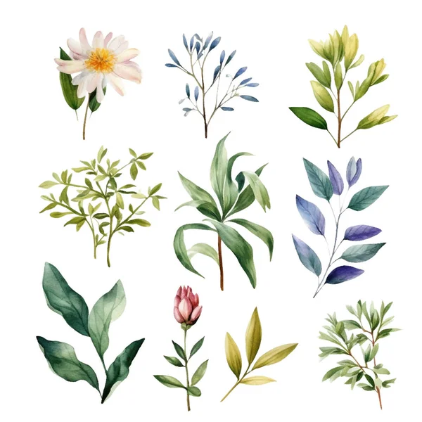 Set Von Schönen Aquarellgrünen Blättern Und Blüten — Stockvektor