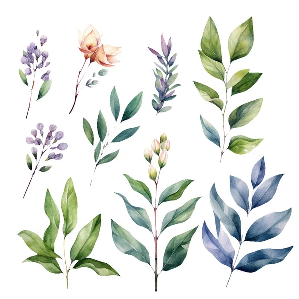 美しい水彩の緑の葉と花のセット — ストックベクタ