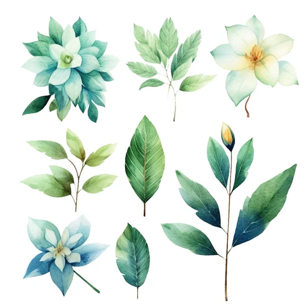 Set Van Prachtige Aquarel Groene Bladeren Bloemen — Stockvector