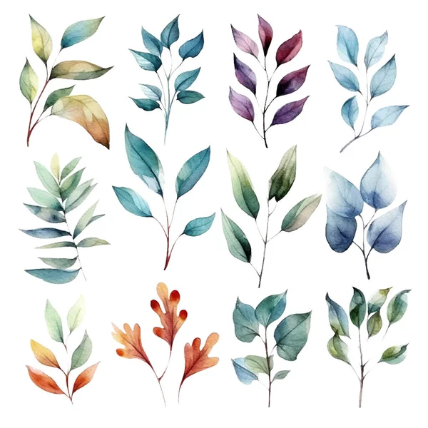 美しい水彩の緑の葉のセット — ストックベクタ