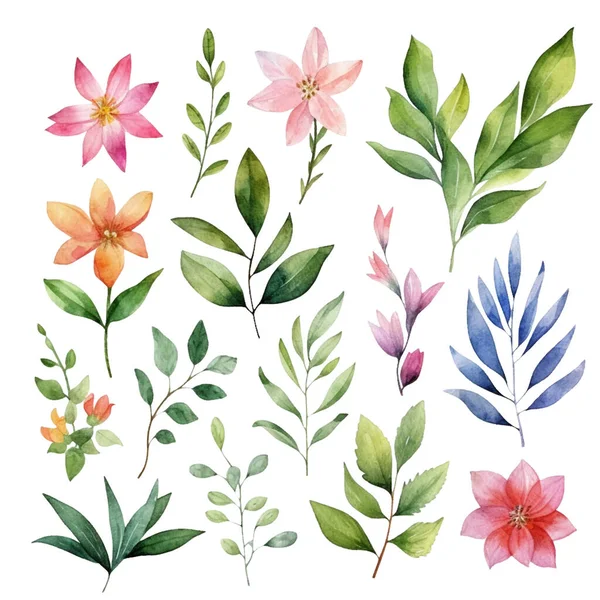 Набор Красивых Зеленых Листьев Цветов Акварели — стоковый вектор