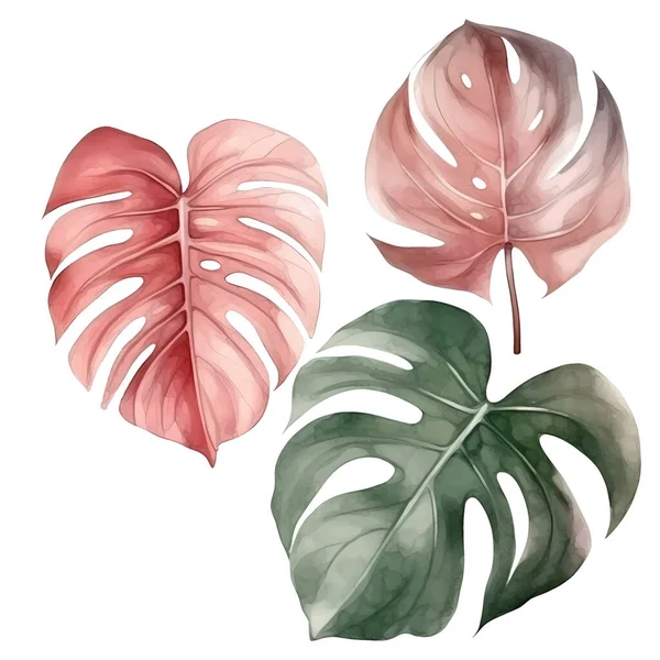 3つのベクトルの熱帯の葉のセット — ストックベクタ