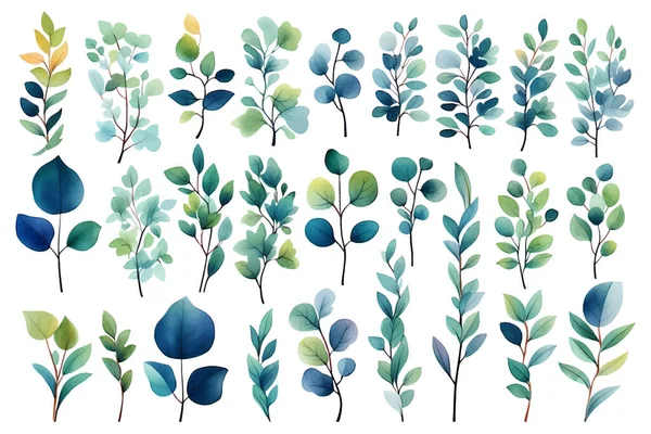 Set Aus Blauen Und Grünen Zweigen Und Blättern — Stockvektor