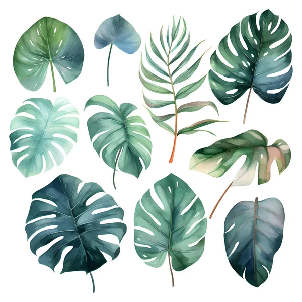 水彩ベクトルの熱帯の葉のセット — ストックベクタ