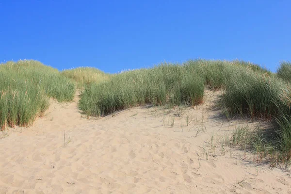 Dune Landskap Nordsjøkysten Nederland – stockfoto
