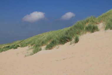 Hollanda 'nın Kuzey Denizi kıyısında bir kumul manzarası