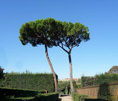 Floransa İtalyancası: Firenze İtalya 'nın orta kesiminde ve Toskana bölgesinin başkentidir..