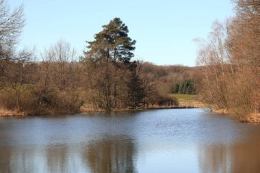 Arka planda mavi bir gökyüzü olan cennet gibi bir göl.