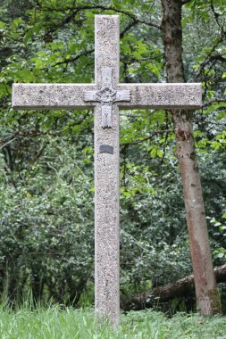 Arka planda ağaçlarla ahşap bir yol kenarı.