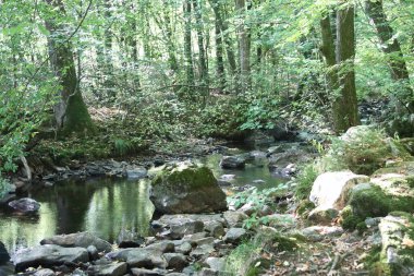 Hunsrueck-Hochwald Ulusal Parkı, Almanya 'da Rhineland-Palatinate ve Saarland eyaletlerinin Hunsrueck bölgesinde bulunan ulusal park.