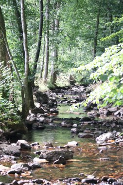 Hunsrueck-Hochwald Ulusal Parkı, Almanya 'da Rhineland-Palatinate ve Saarland eyaletlerinin Hunsrueck bölgesinde bulunan ulusal park.