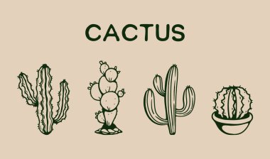 Cactus collection hand drawing vector illustration. Set of cacti