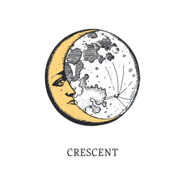 Alphabet vector illustration. Alphabet handwritten font hand drawing