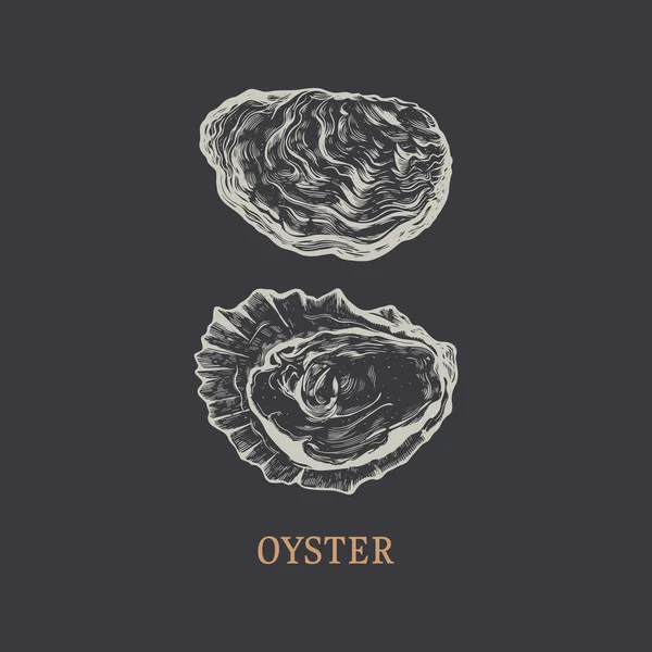 Oyster Hand Drawing Oyster Vector Illustration Engraving Style — Stock vektor