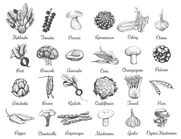 Sammlung Von Skizzen Von Gemüse Handzeichnung Gemüsevektorillustration — Stockvektor