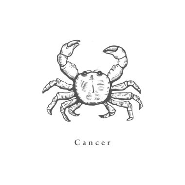 Kanserin burç sembolü, elle oyma şeklinde çizilmiş. Astrolojik işaret yengecinin vektör illüstrasyonu.