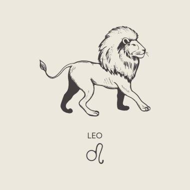Leo Zodiac sembolü, oyma stiliyle çizilmiş. Astrolojik işaretin vektör illüstrasyonu Aslan.