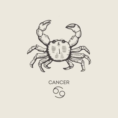 Kanserin burç sembolü, elle oyma şeklinde çizilmiş. Astrolojik işaret yengecinin vektör illüstrasyonu.