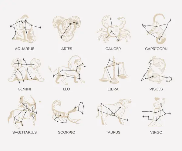 Zodyak Işaretleri Koleksiyonu Astrolojik Semboller Vektör Çizimi Takımyıldız Kümesi Vektör Grafikler