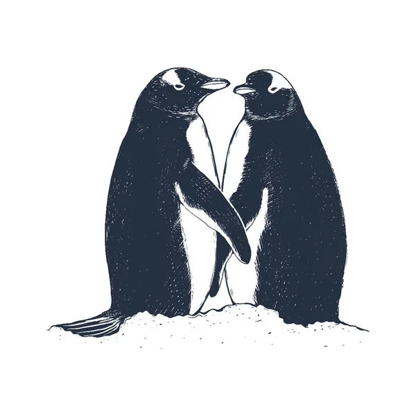 Pinguine Vektor Illustration Pinguine Handzeichnung Freundschaft Der Pinguine Stockvektor