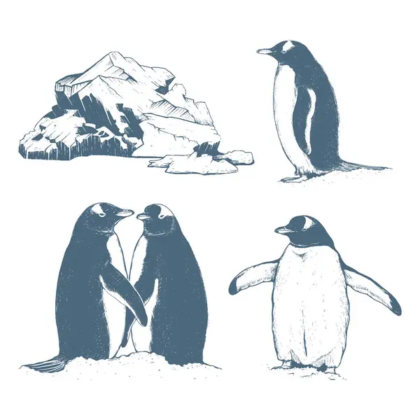 Penguen Vektör Çizimi Kuzeye Penguenlere Buzdağlarına Toplanın Antarktika Arkktik Set Telifsiz Stok Illüstrasyonlar