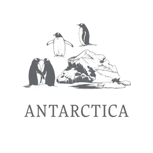 Şleme Tarzında Antarktika Vektör Illüstrasyonu Antarktika Buzdağı Penguenlerin Çizimleri Stok Illüstrasyon