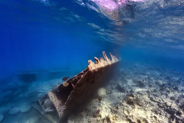 Víz Alatti Fénykép Elsüllyedt Hajóról Korallzátonyon Vörös Tengeren Stock Fotó