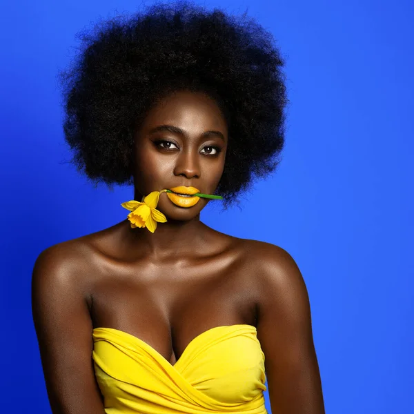 Szépség Afro Frizura Sárga Rúzs Töltsük Fel Több Mint Blue — Stock Fotó