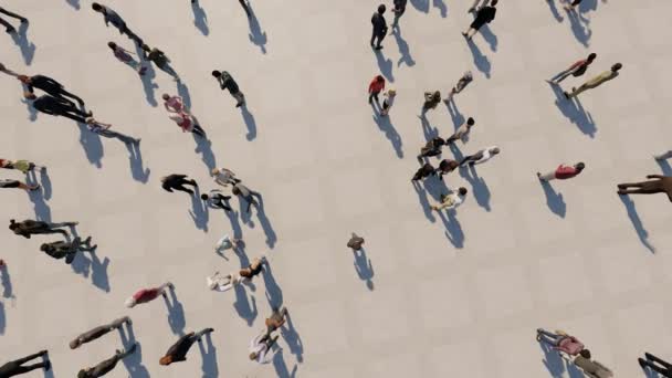 Aerial View Crowd — Stock Video