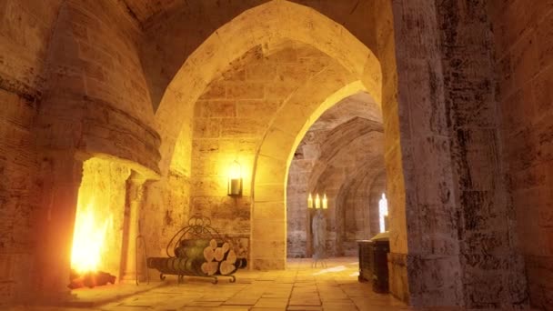 中世纪城堡内部的3D动画 — 图库视频影像