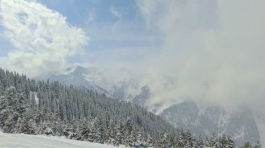 Dağların ve ağaçların tepesindeki karlı manzara. Yokuşta, kış mevsiminde, arkada Issyk Kul Gölü 'nde, Kırgızistan' da, Karakol 'da.