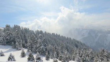 Dağların ve ağaçların üzerinde kar yağışı manzarası. Güzel kış manzarası, karla kaplı ağaçlar, dağ geçidi, dağlarda kar yağışı, kayak merkezindeki Alpler. Noel arkaplanı. 