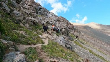 Karakol, Issyk-Kul bölgesi, Kırgızistan - 08.24.2024: Kayalık yolda yürüyen atlar. Dağlarda sırtında torba olan atlar. Yüklü katırlar. Yürüyüş ekibi, uzak kayalık dağlarda atlarla yürüyen insanlar..