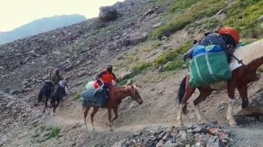 Karakol, Issyk-Kul bölgesi, Kırgızistan - 08.24.2024: Kayalık yolda yürüyen atlar. Dağlarda sırtında torba olan atlar. Yüklü katırlar. Yürüyüş ekibi, uzak kayalık dağlarda atlarla yürüyen insanlar..