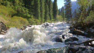 Dağ ormanındaki engebeli nehirle güzel bir manzara. Ormanın arka planında taşlı, kaba bir dağ nehri. Ağır çekim. Dağ nehri azgın dalgalar, nehirdeki kayalar ve kayalar.